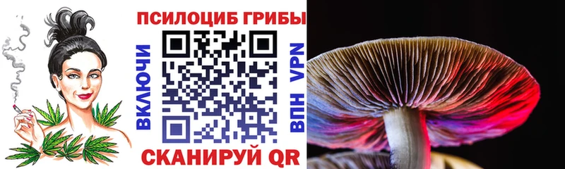 наркошоп Новоузенск Псилоцибиновые грибы MAGIC MUSHROOMS