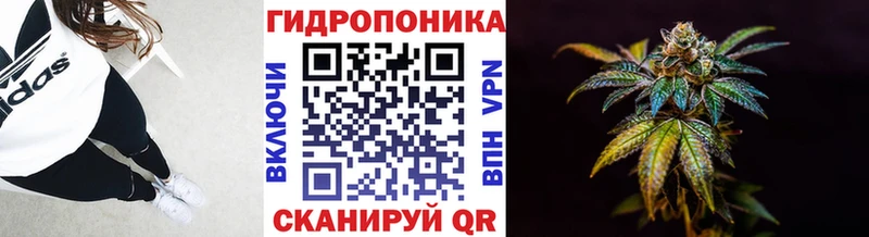 Бошки Шишки план  Новоузенск 